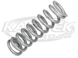 Silver Eibach 100 Pound 10" Tall Spring For 2.5" Diameter King, Sway-A-Way Or Fox Coil Over Shocks